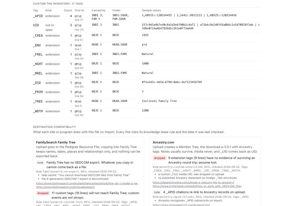 The Custom tag inventory in Dialect Report on the Ancestry fixture: _APID with count 4 under INDI.SOUR and FAM.SOUR, UID with count 3 under INDI.